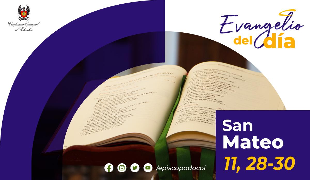 11 de diciembre evangelio san mateo 11 28 30 01