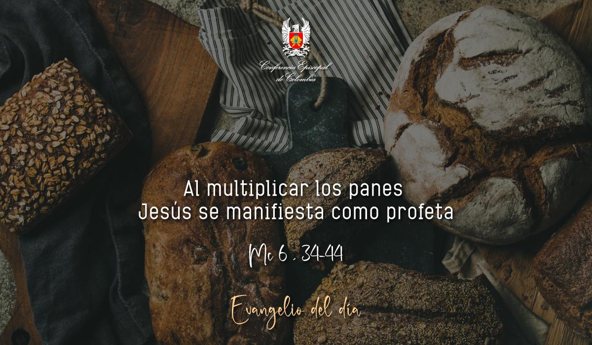 7 de enero evangelio san marcos 6 34 44