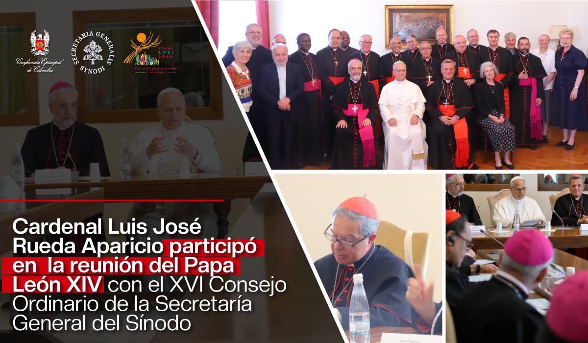 Papa León XIV avanza en línea sinodal con el Consejo del Sínodo: El cardenal Luis José Rueda Aparicio participó en encuentro representando a América Latina