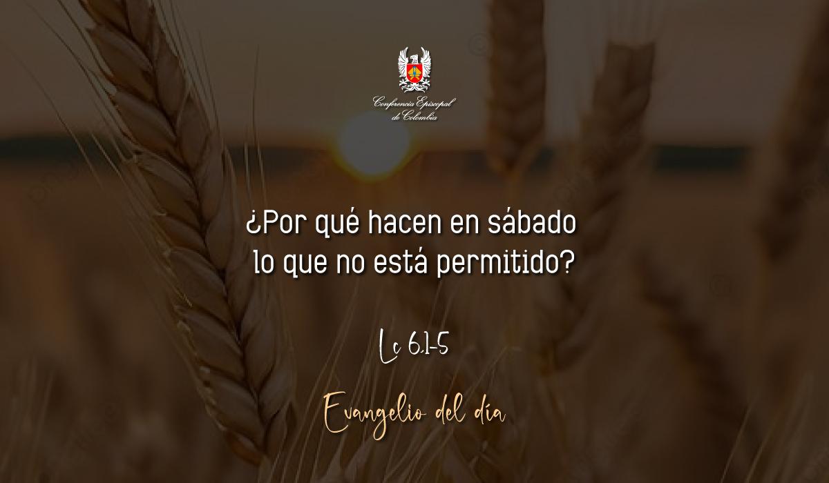 Evangelio 6 De Septiembre San Lucas Lc 6,1-5