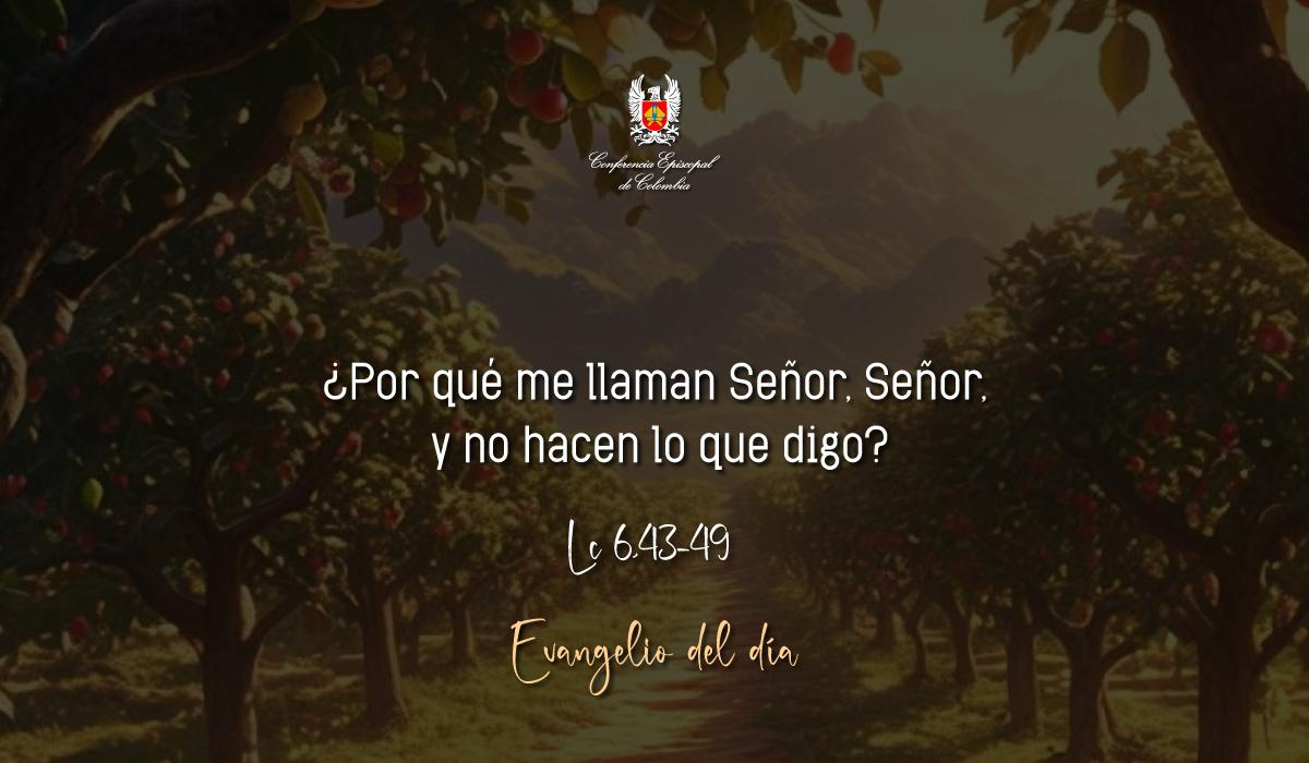 Evangelio 13 De Septiembre San Lucas Lc 6,43-49