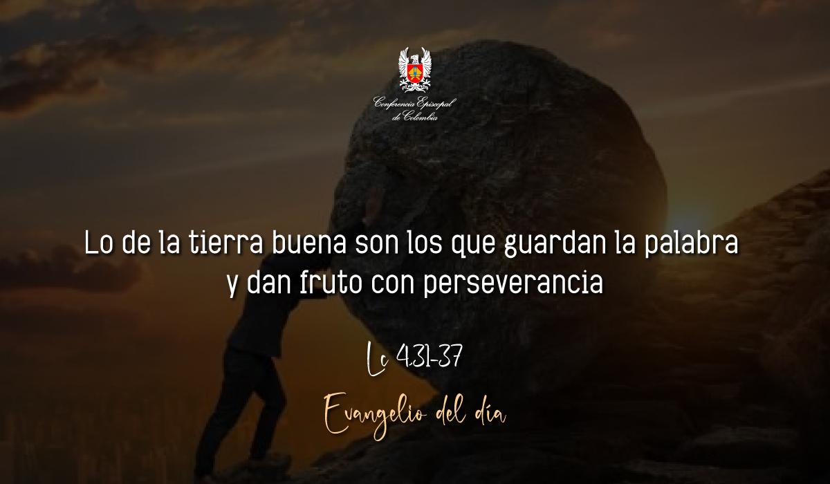 Evangelio 20 De Septiembre San Lucas Lc 8,4-15