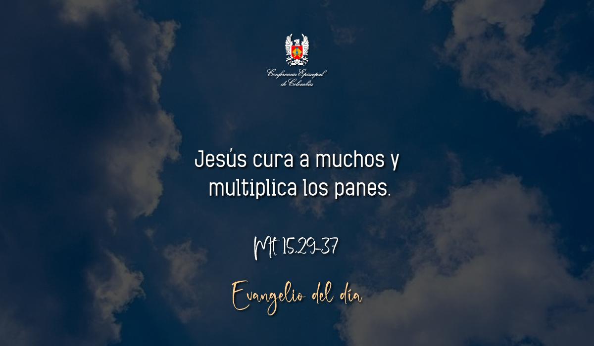 Evangelio 03 De Diciembre San Mateo Mt 15,29-37