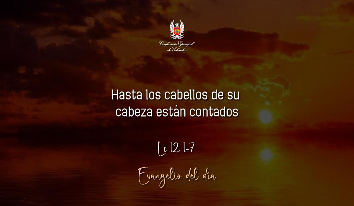 Evangelio 17 De Octubre San Lucas Lc 12, 1-7