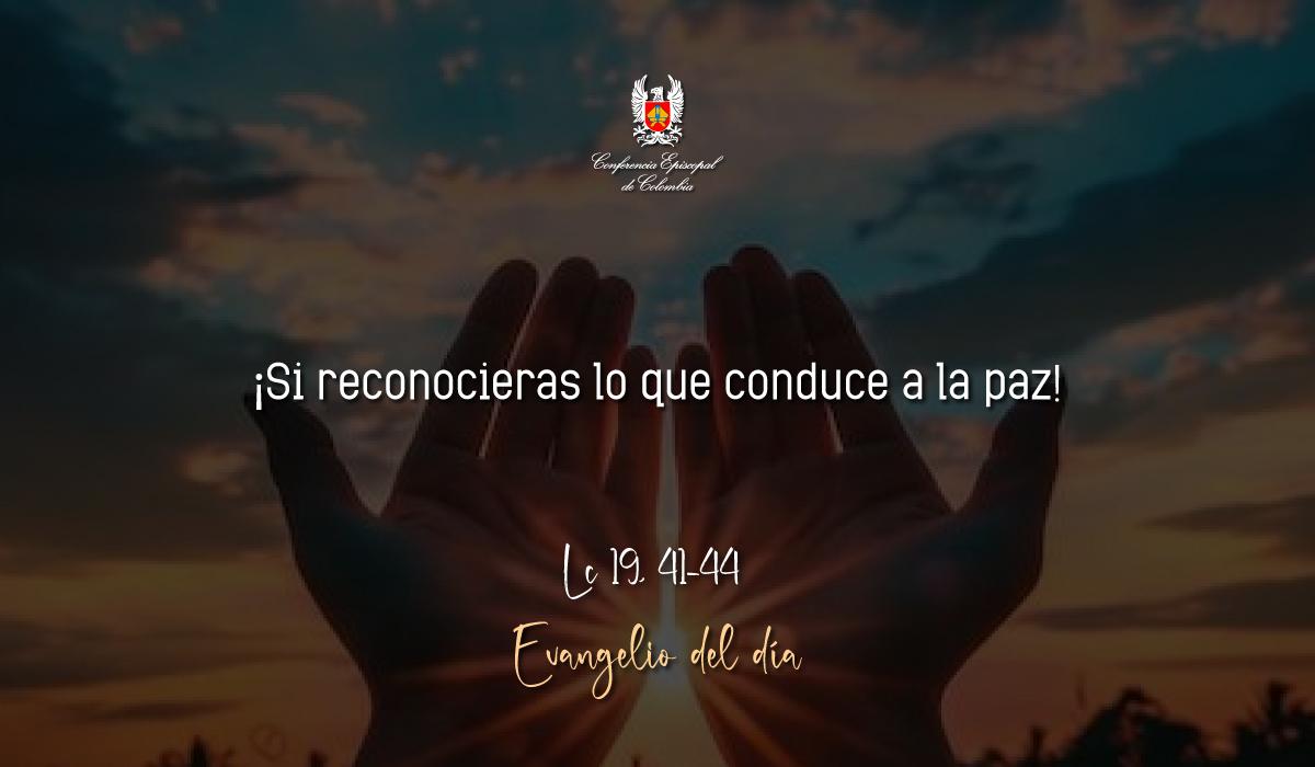 Evangelio 20 De Noviembre San Lucas Lc 19, 41-44