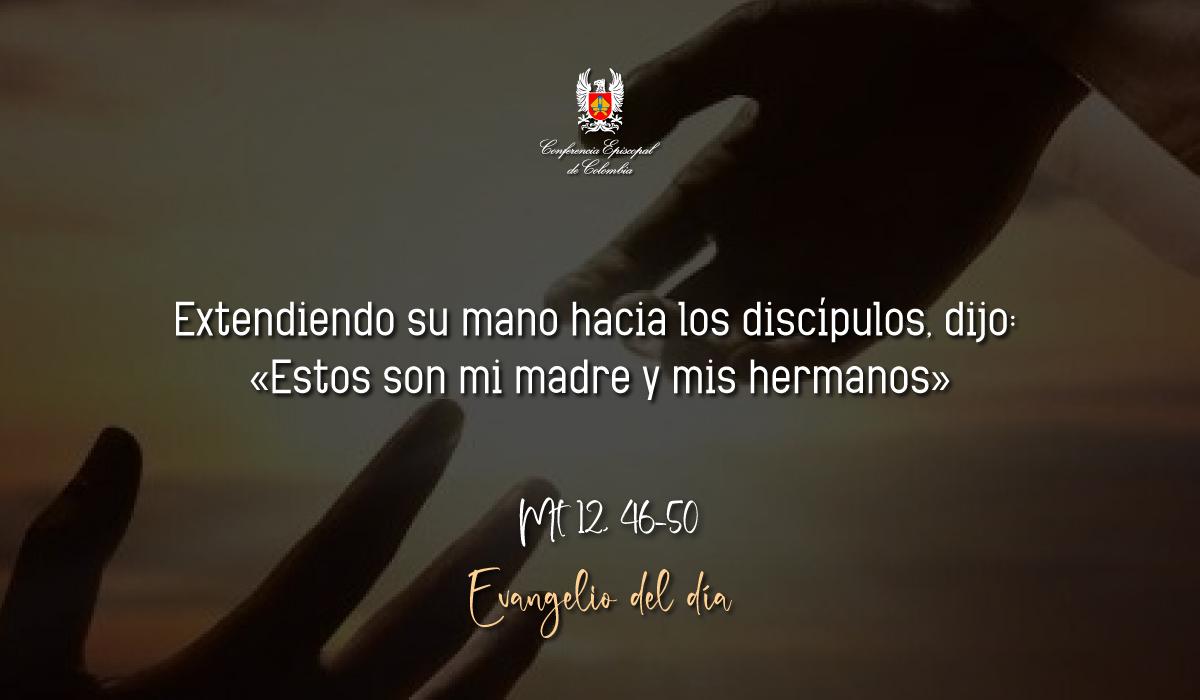 Evangelio 21 De Noviembre San Mateo Mt 12, 46-50