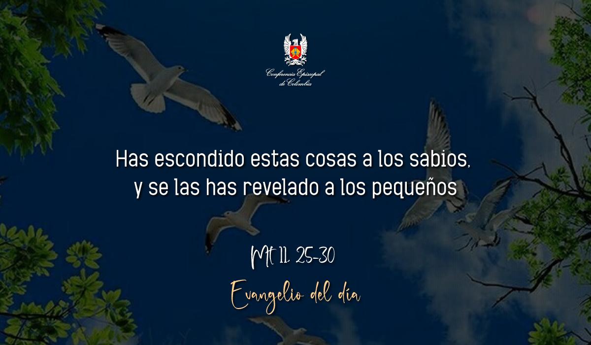 Evangelio 21 De Octubre San Mateo Mt 11, 25-30