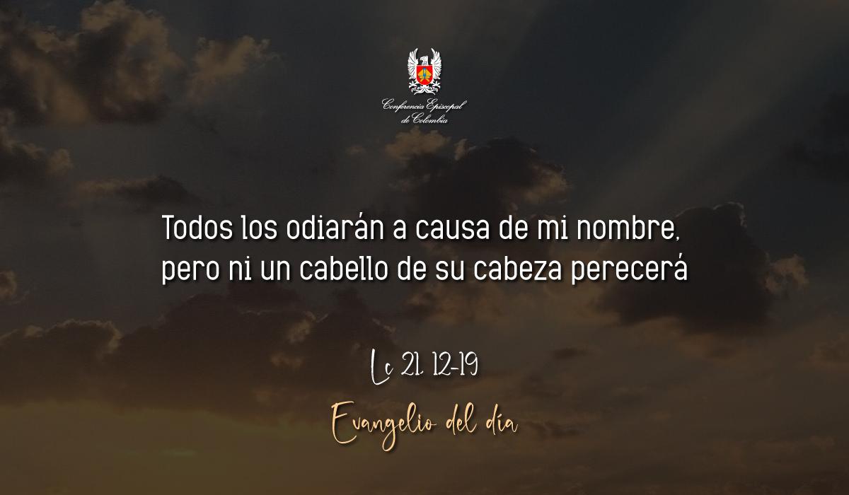 Evangelio 26 De Noviembre San Lucas Lc 21, 12-19