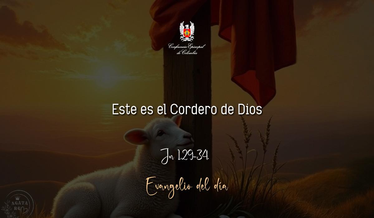 Evangelio 03 De Enero San Juan Jn 1,29-34. 