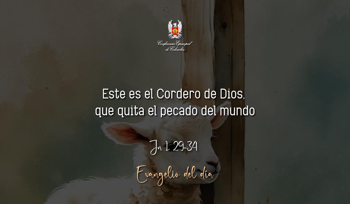 Evangelio 18 De Enero San Juan Jn 1, 29-34