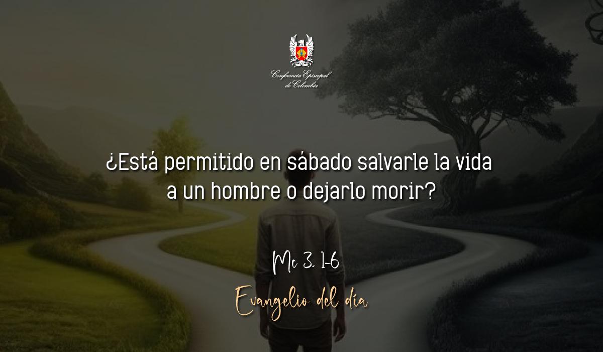 Evangelio 21 De Enero San Marcos Mc 3, 1-6