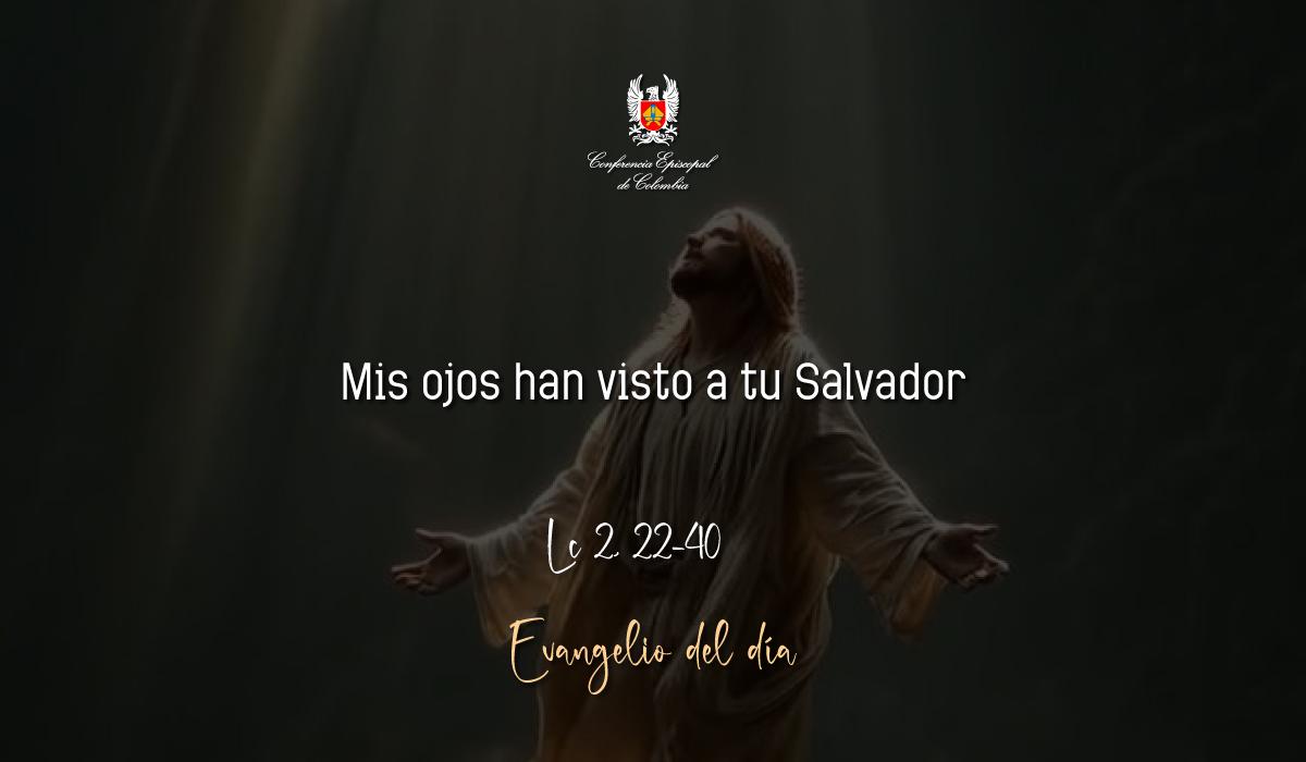 02 de Febrero | Lectura del Santo Evangelio según San Lucas Lc 2, 22-40