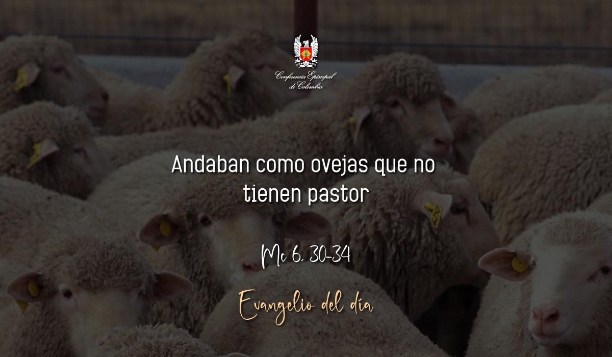 07 de Febrero | Lectura del Santo Evangelio según San Marcos Mc 6, 30-34