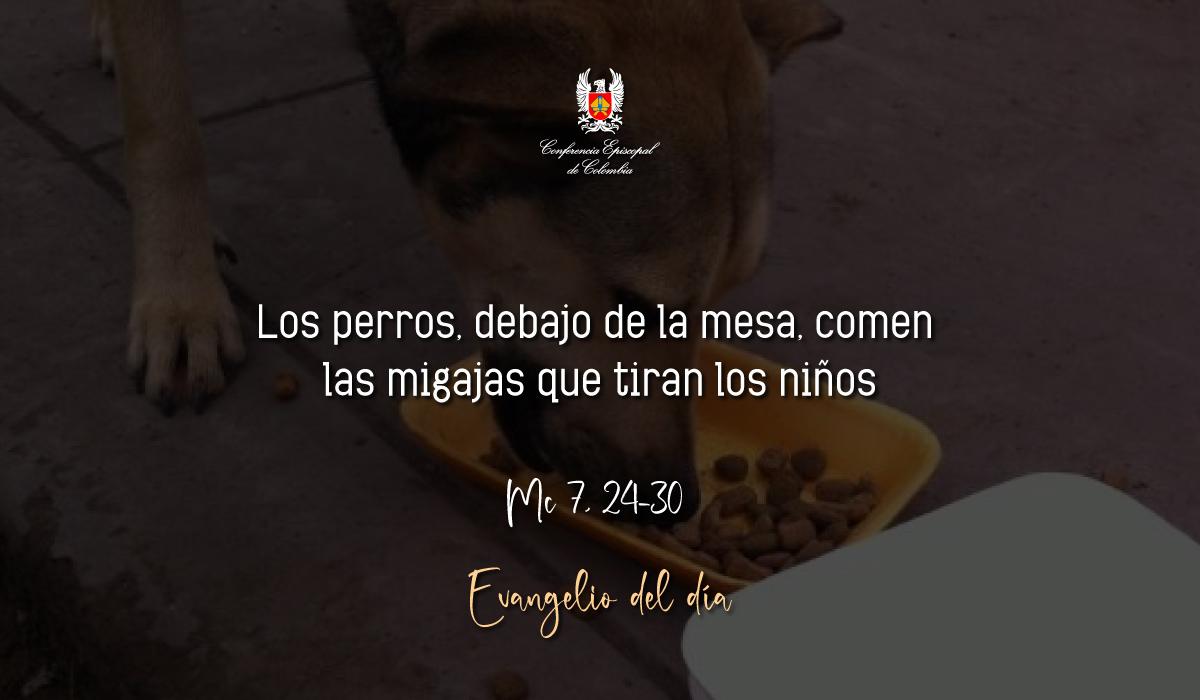 12 de Febrero | Lectura del Santo Evangelio según San Marcos Mc 7, 24-30