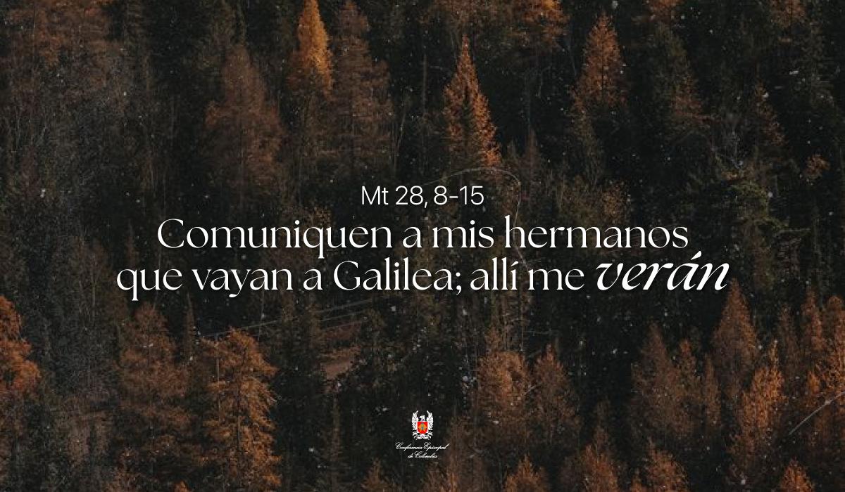 06 de Abril | Lectura del Santo Evangelio según San Mateo Mt 28, 8-15