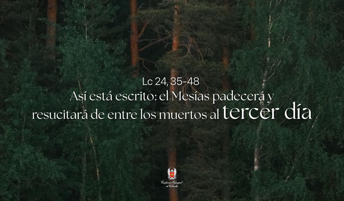 09 de Abril | Lectura del Santo Evangelio según San Lucas Lc 24, 35-48