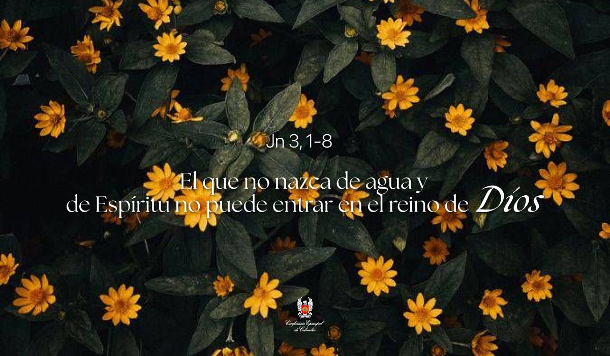 13 de Abril | Lectura del Santo Evangelio según San Juan Jn 3, 1-8