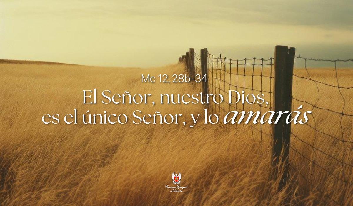 13 de Marzo | Lectura del Santo Evangelio según San Marcos Mc 12, 28b-34