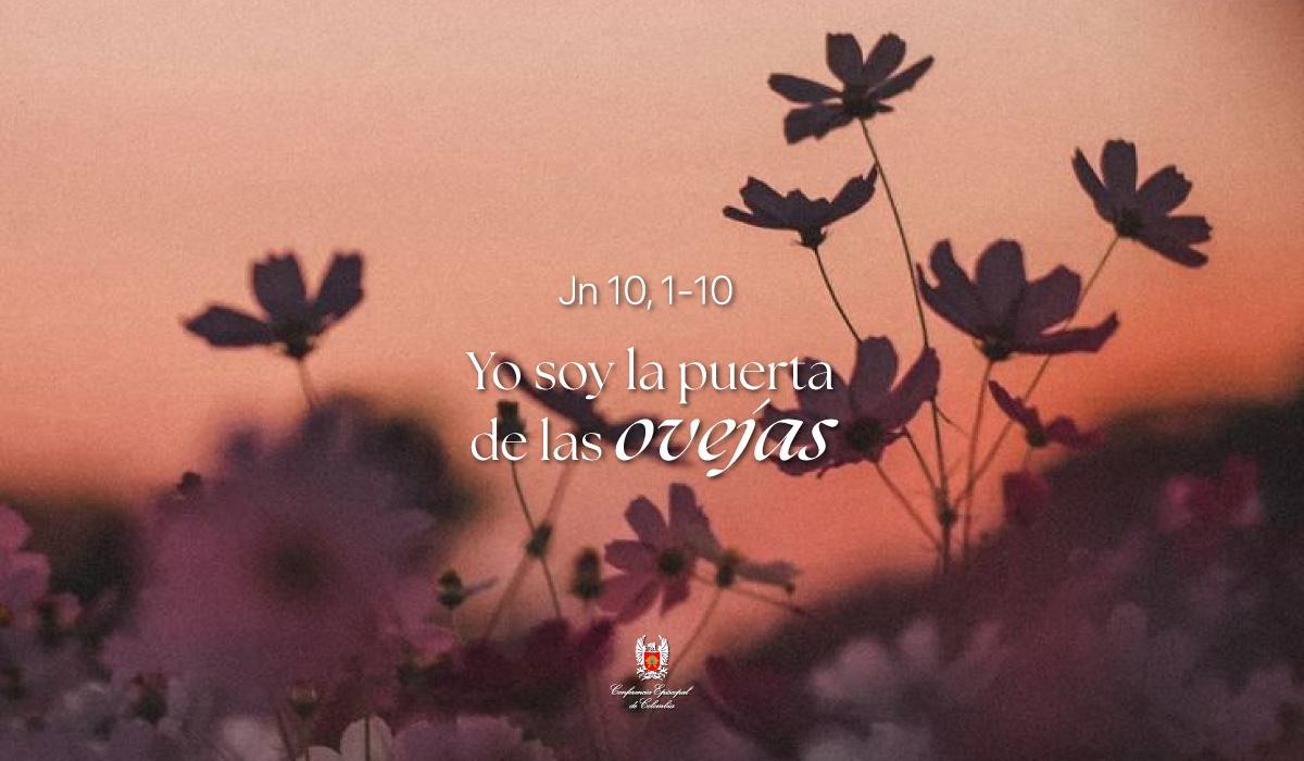 26 de Abril | Lectura del Santo Evangelio según San Juan Jn 10, 1-10