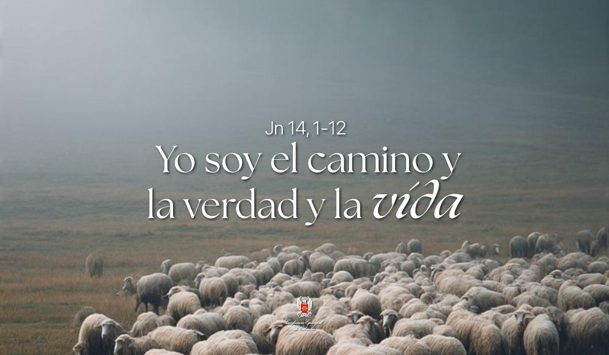 03-Evangelio-De-Mayo