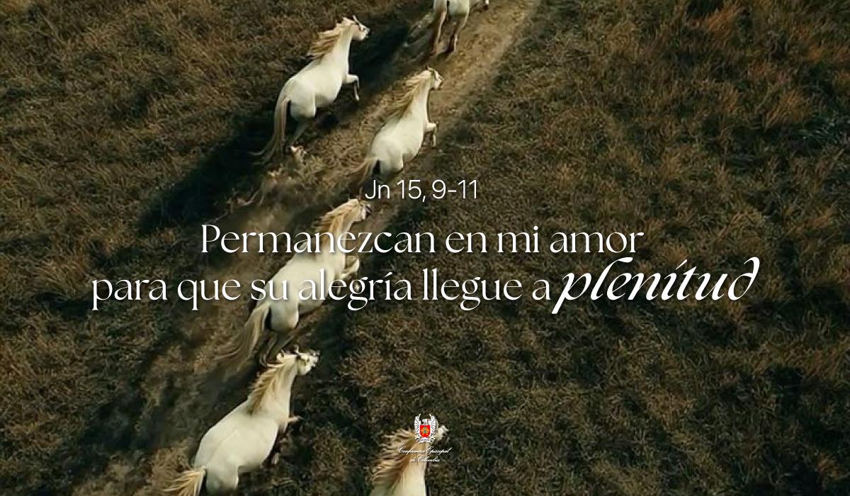 07-Evangelio-De-Mayo