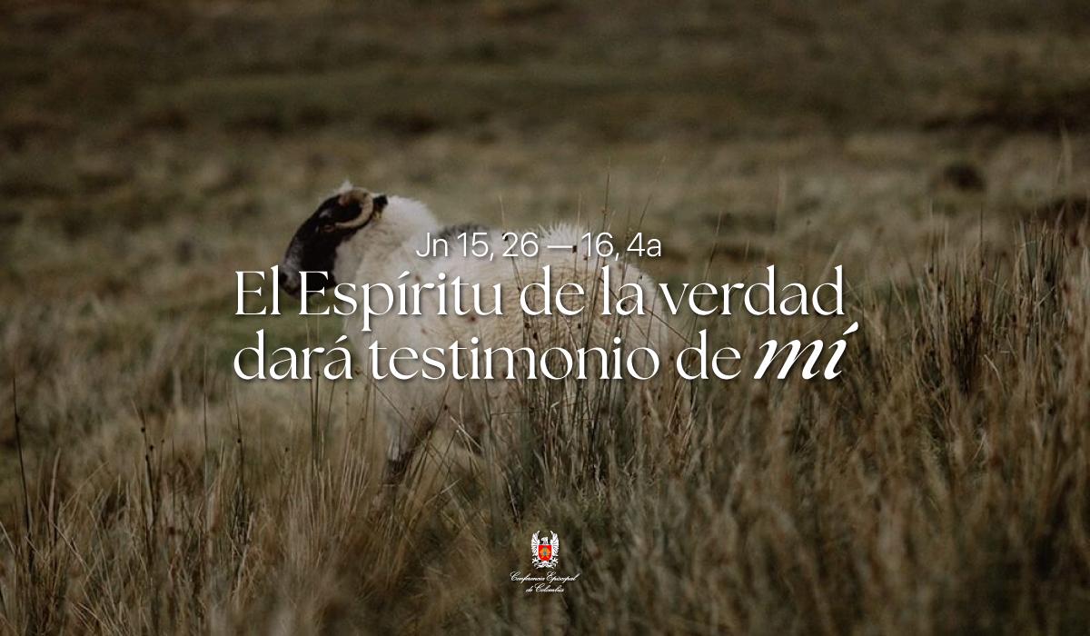 11-Evangelio-De-Mayo