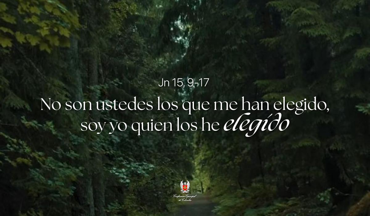 14-Evangelio-De-Mayo.