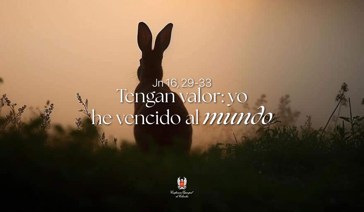 18-Evangelio-De-Mayo