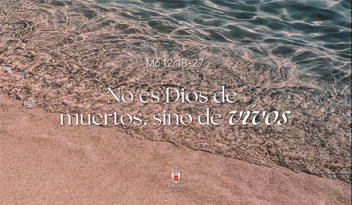 03 - WEB