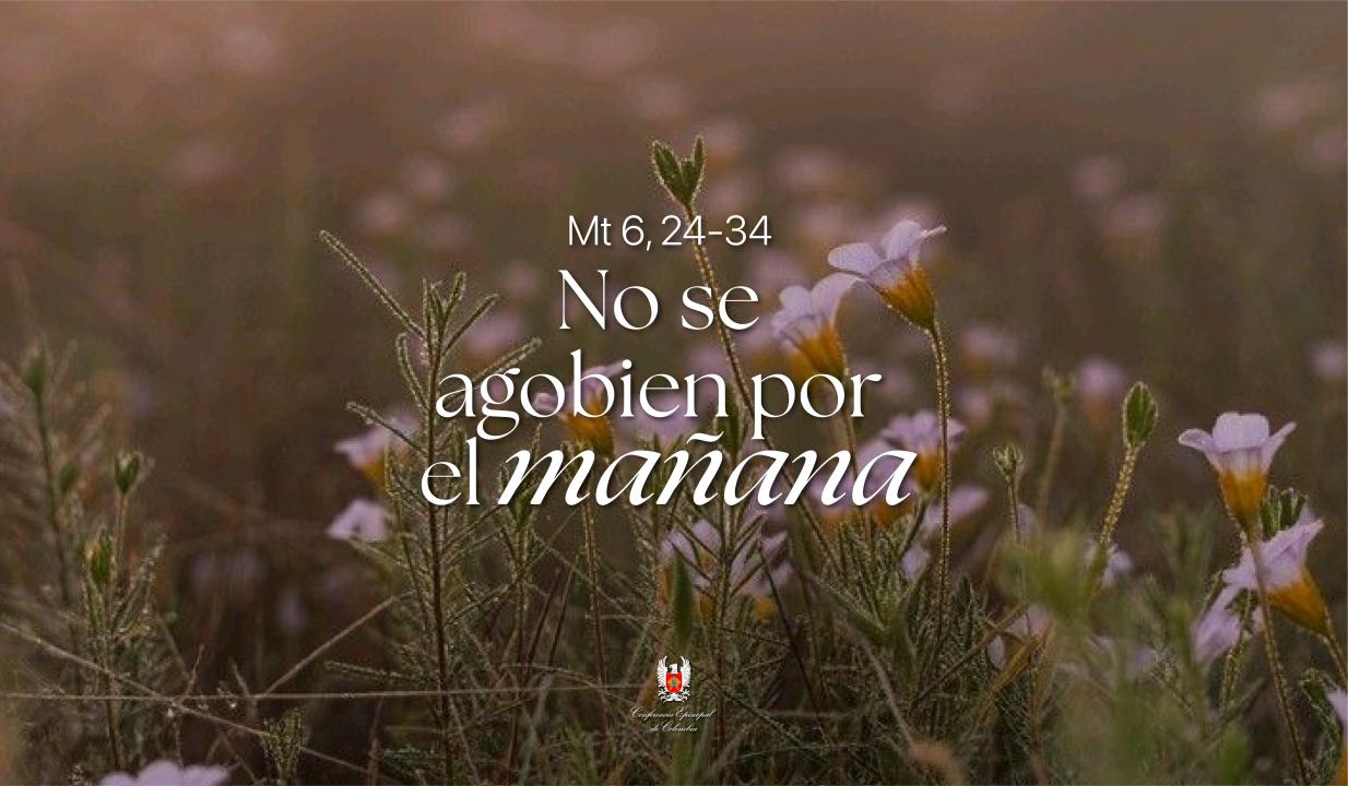 20 - WEB.jpg