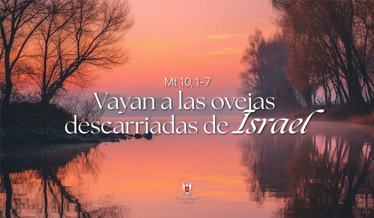 08 - WEB.jpg