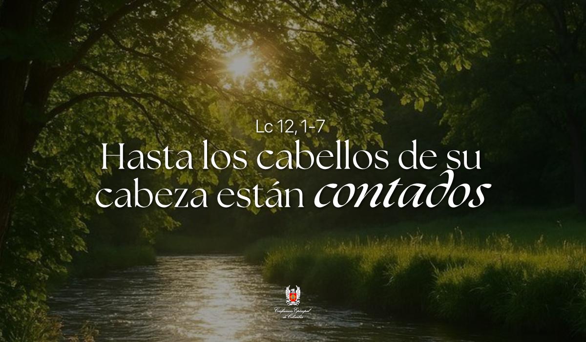 16-octubre-evangelio-web.jpg